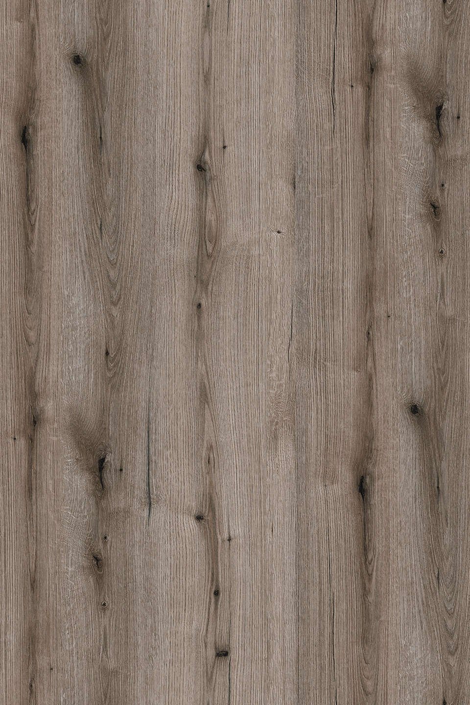 KWK366 Fossil Evoke Oak, FN