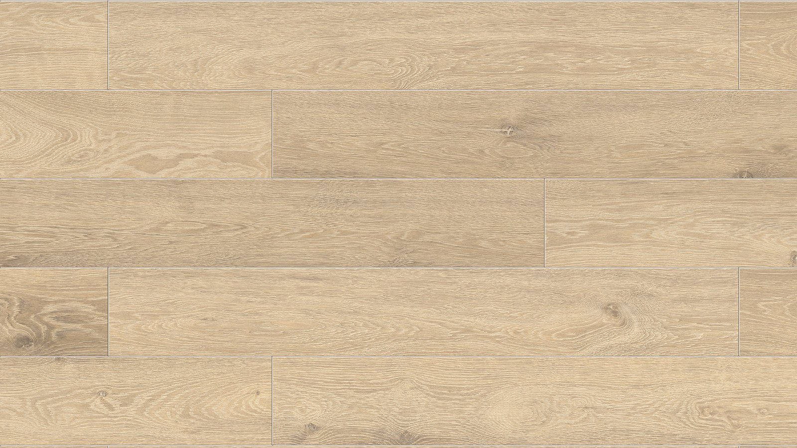 Naiver R143 (su paklotu) - Image 7