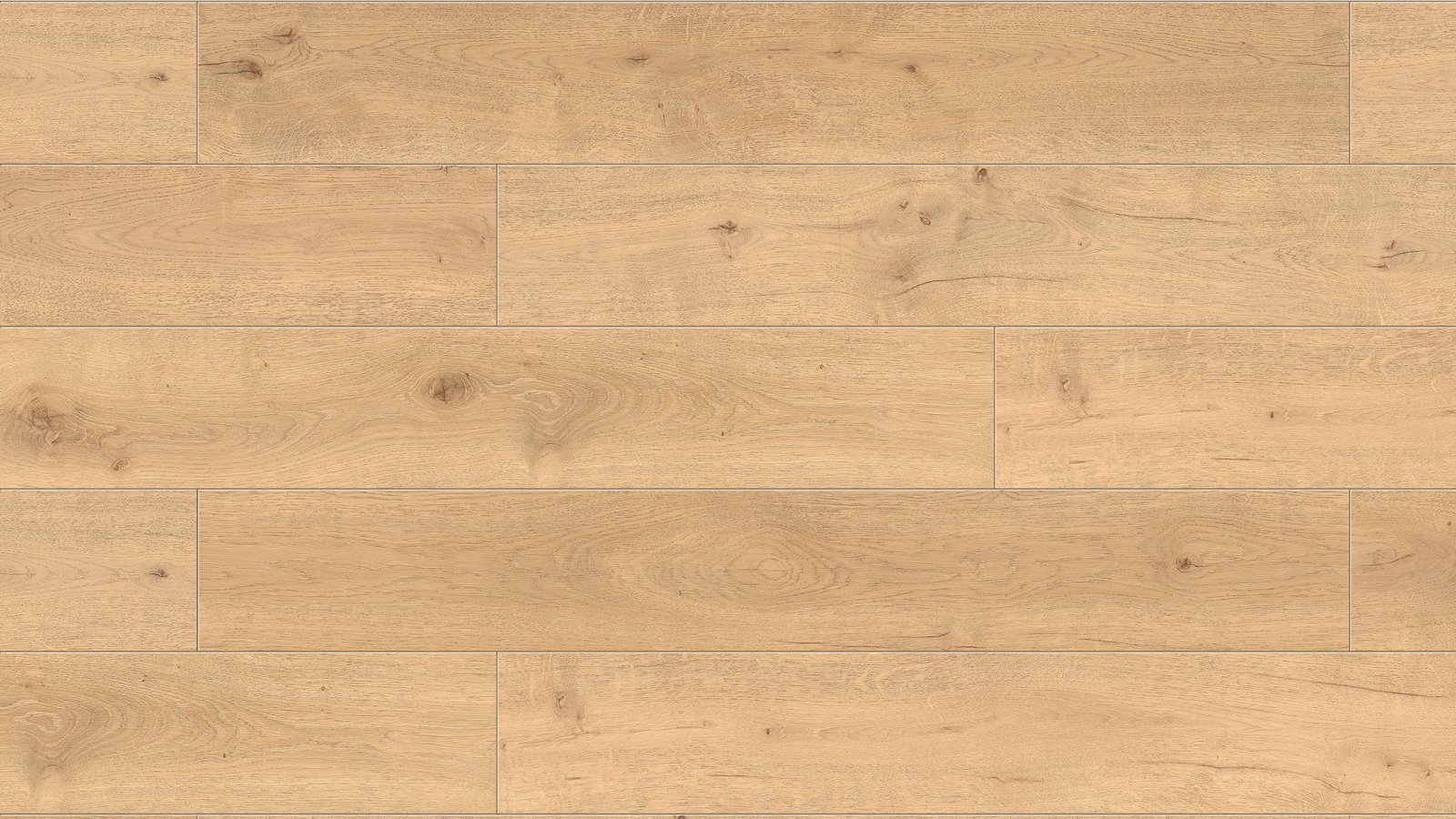Caldaran R144 (su paklotu) - Image 3