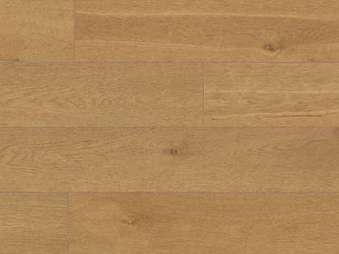 R081 Crescendo, HS - Image 3