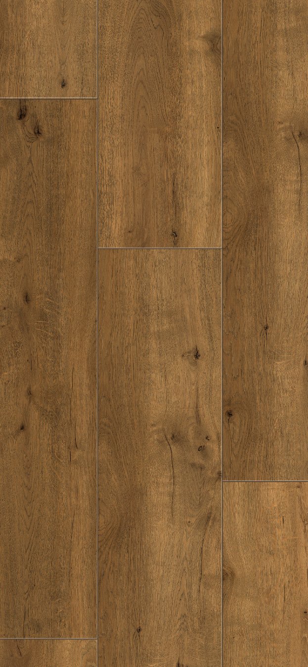R149 Brown Marten, SO - Image 2